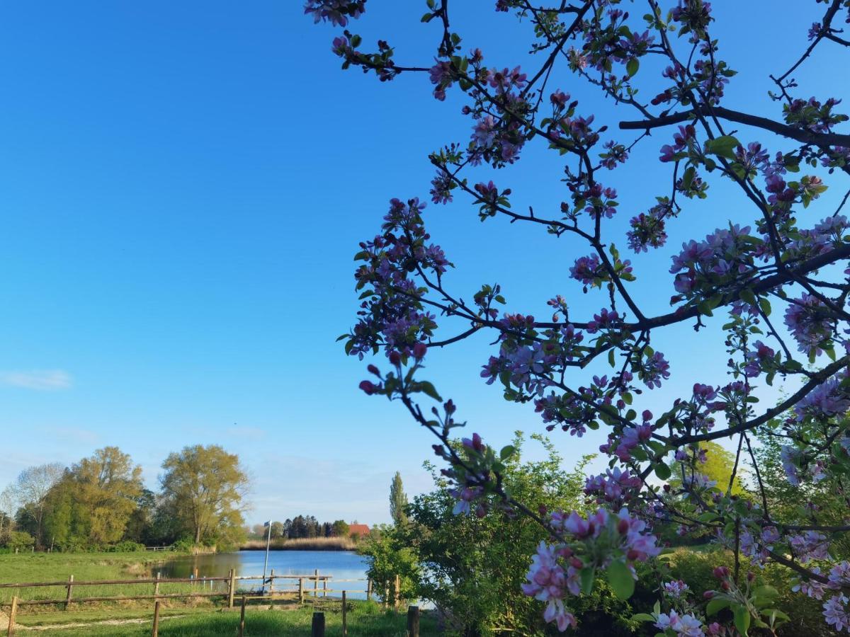 Stedinger Landhotel & Cafe Berne Bagian luar foto